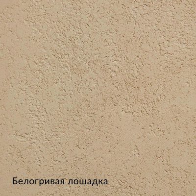 Альчидо — 10 образцов, образец 1